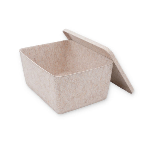 Lidded storage bin for pantry closet shelf cabinet desktop medeium size