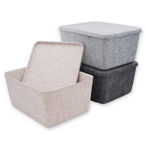 Lidded storage bin for pantry closet shelf cabinet desktop medeium size