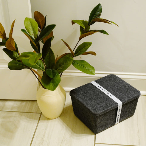 Lidded storage bin for pantry closet shelf cabinet desktop medeium size