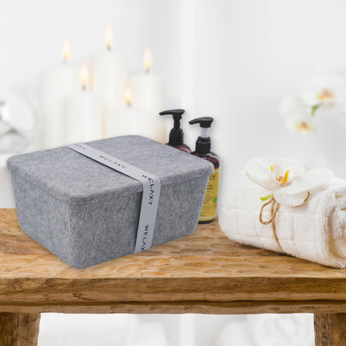 Lidded storage bin for pantry closet shelf cabinet desktop medeium size