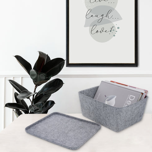 Lidded storage bin for pantry closet shelf cabinet desktop medeium size