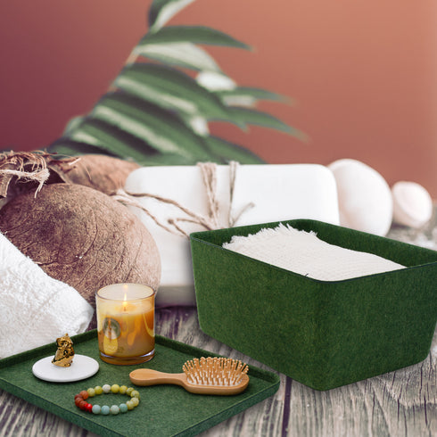 Lidded storage bin for pantry closet shelf cabinet desktop medeium size