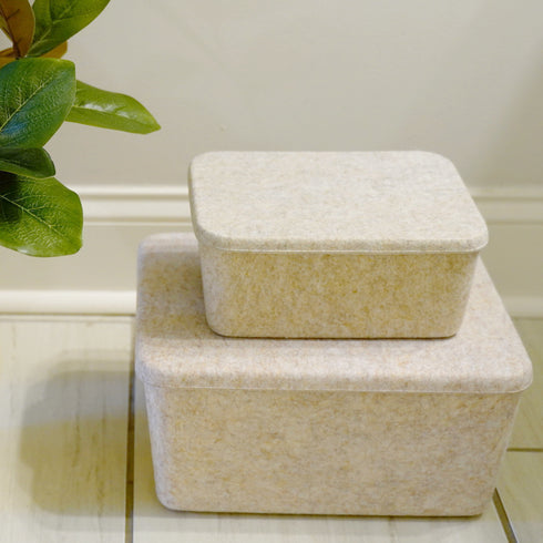 Lidded storage bin for pantry closet shelf cabinet desktop medeium size