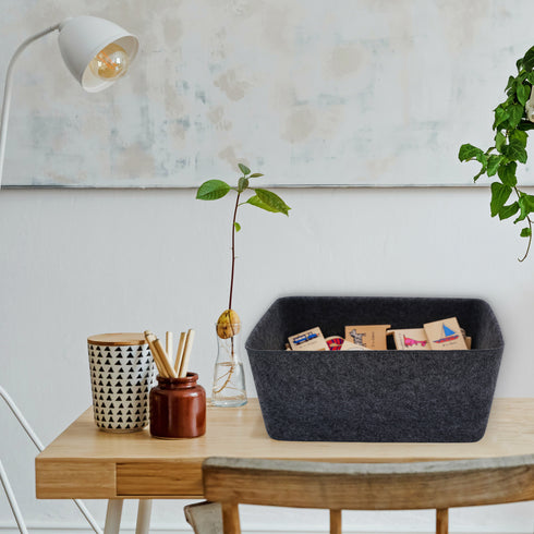 Lidded storage bin for pantry closet shelf cabinet desktop medeium size