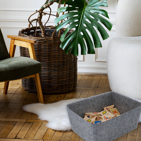 Lidded storage bin for pantry closet shelf cabinet desktop medeium size